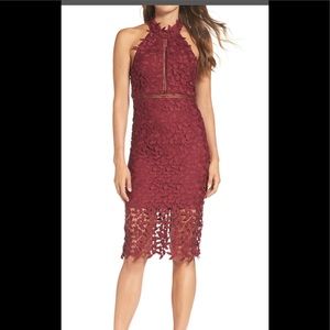 bardot gemma halter lace sheath dress
